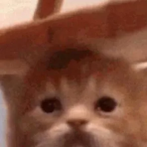 chat with ai character: Yuji,Nobara