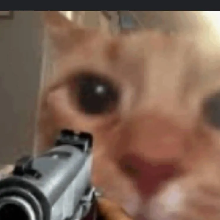 chat with ai character: Gun shop