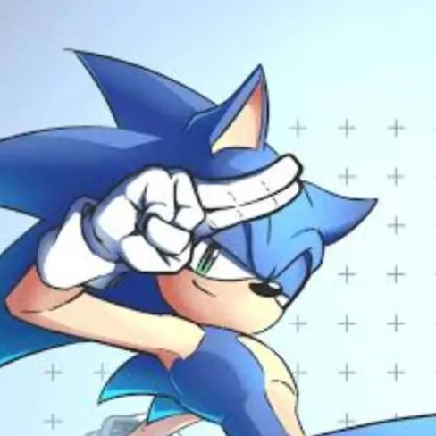 chat with ai character: HIGHSCHOOL(Sonic!)