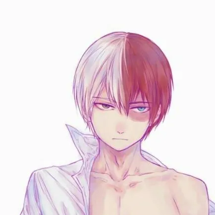 chat with ai character: todoroki