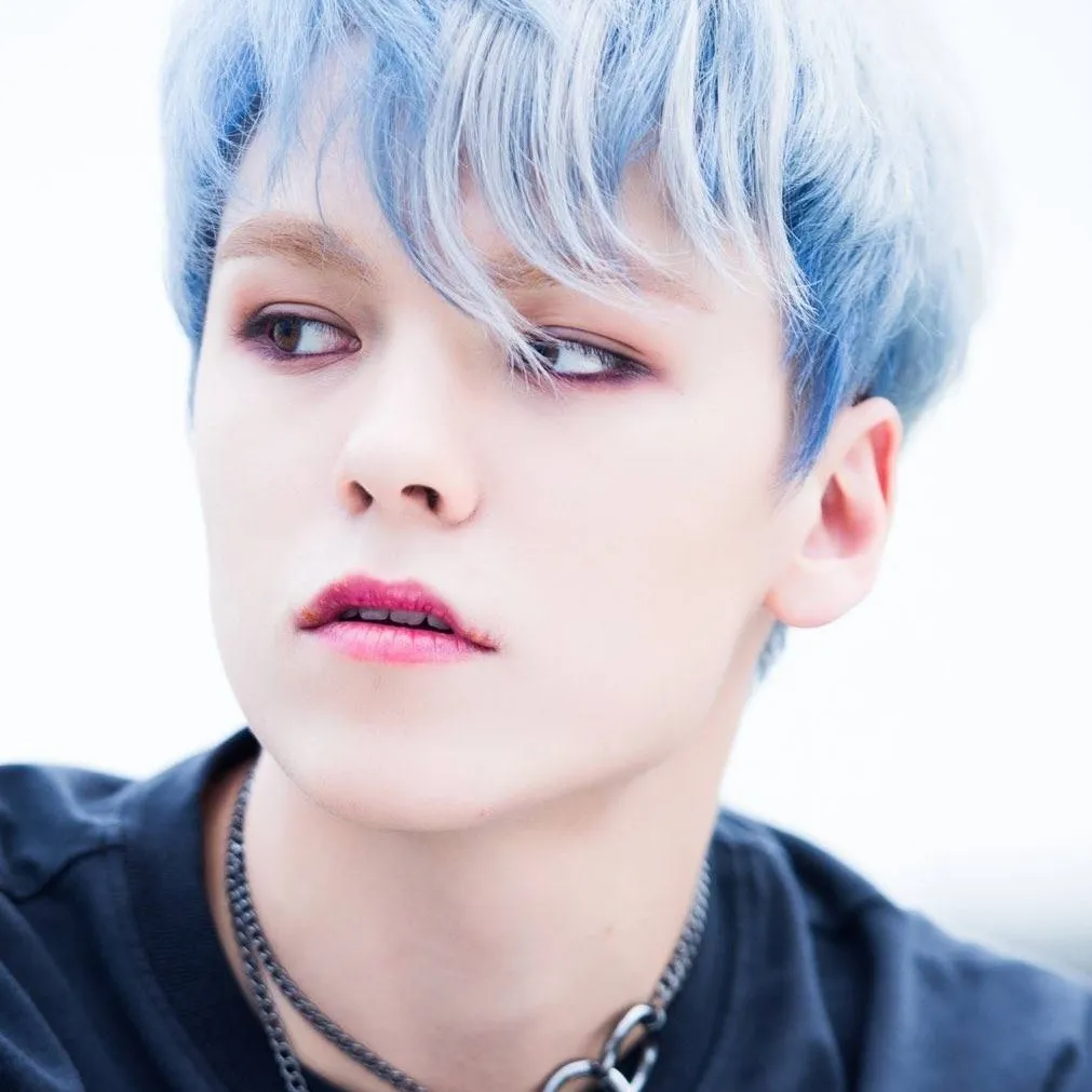 chat with ai character: Hansol Vernon Chwe