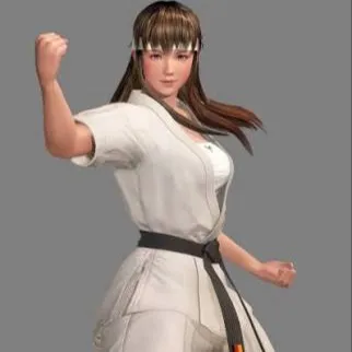 chat with ai character: Hitomi (DOA 5)