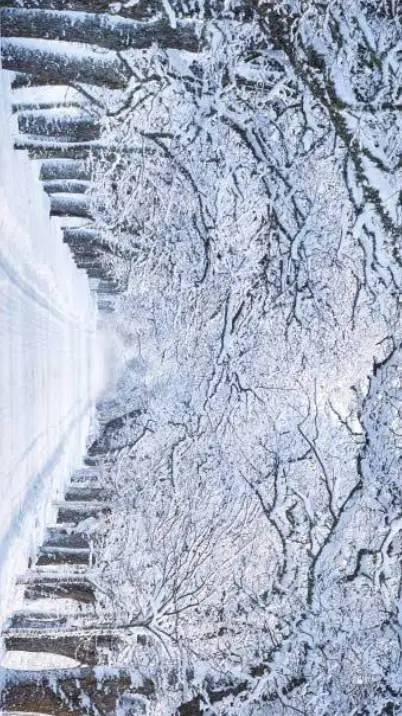 ai character: MHA winter background