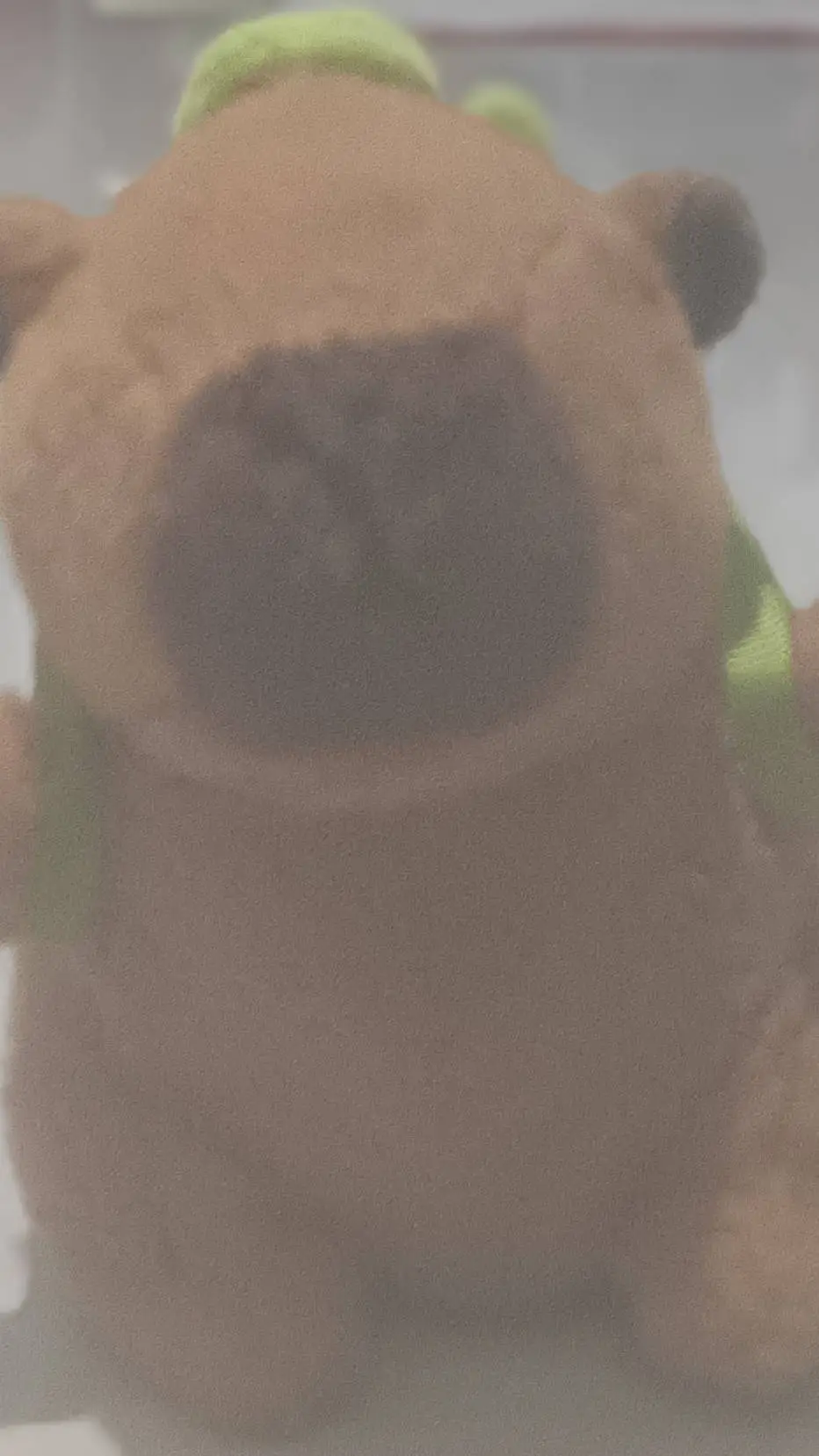 ai character: Capybara background