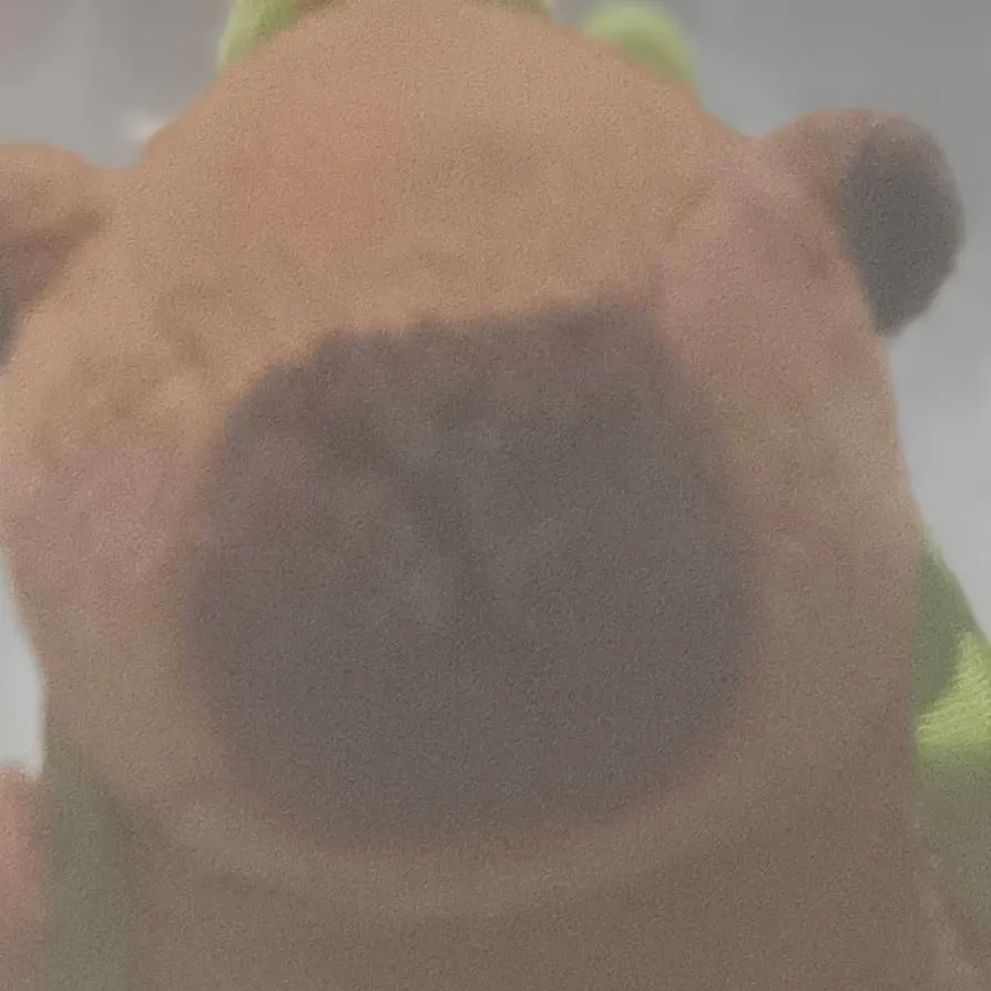 chat with ai character: Capybara