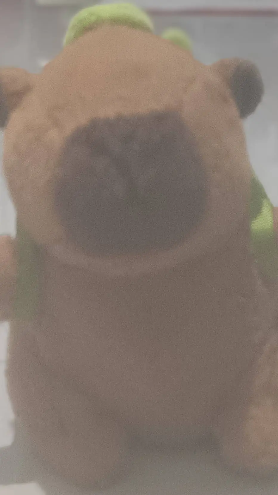 ai character: Capybara background