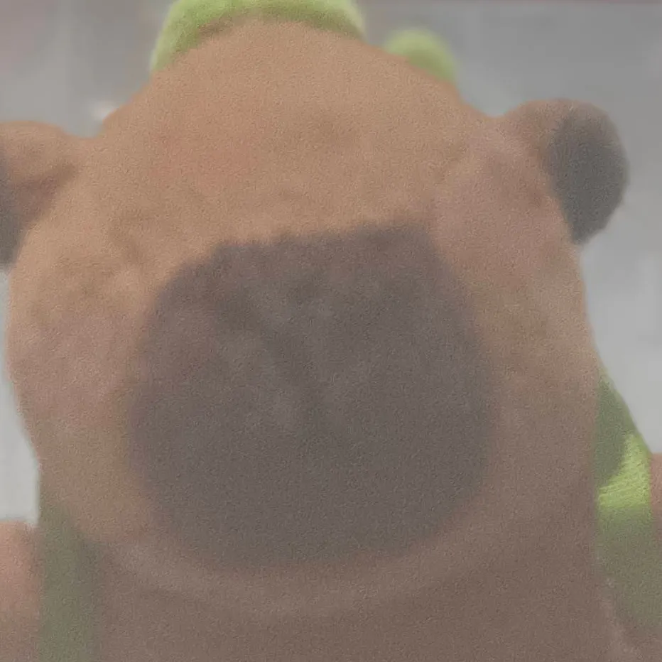 chat with ai character: Capybara