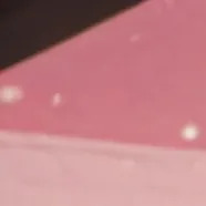 chat with ai character: Tori