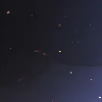 chat with ai character: Darian