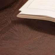 chat with ai character: Soura