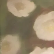 chat with ai character: Anora