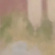 chat with ai character: Shanay