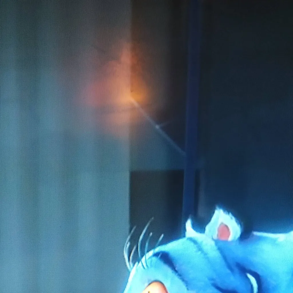 chat with ai character: Rumi and Jinu😉