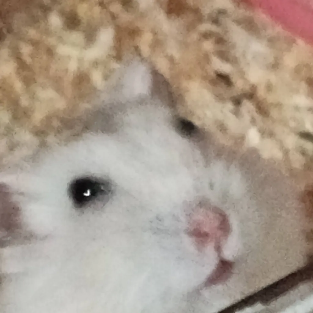 chat with ai character: janna