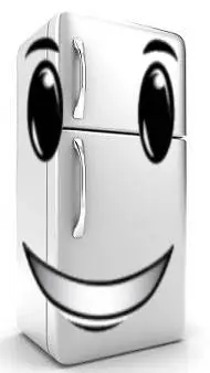 ai character: fridge.  background