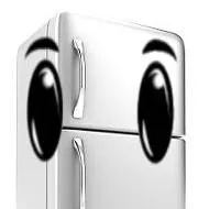 chat with ai character: fridge. 