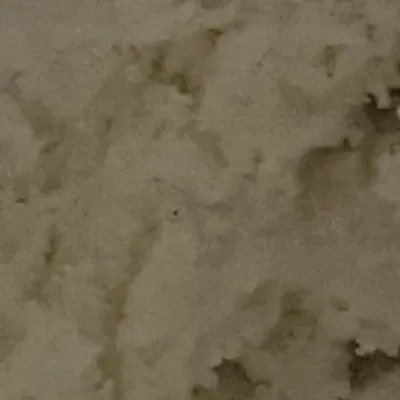 chat with ai character: Ice cream