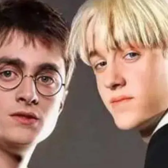 chat with ai character: hogwarts 🤍💚,🤍🤎