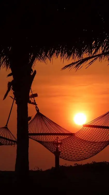 ai character: Transformers  background