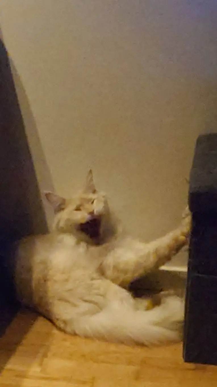 ai character: shrimp  background