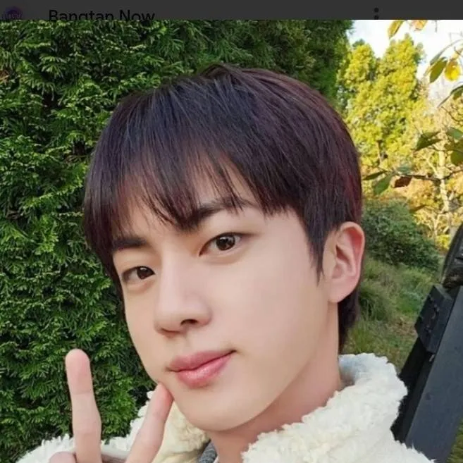 chat with ai character: Jin BTS 