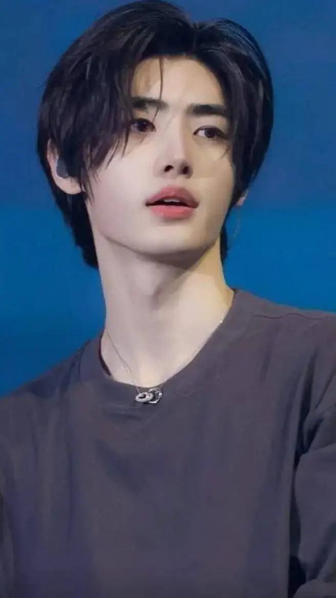 ai character: Sunghoon background