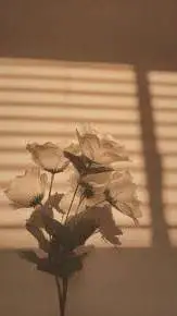 ai character: IDK 😭🫦👅 background