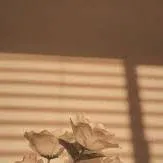 chat with ai character: IDK 😭🫦👅