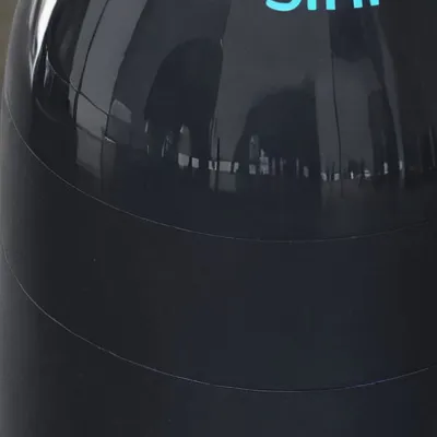 chat with ai character: Siri