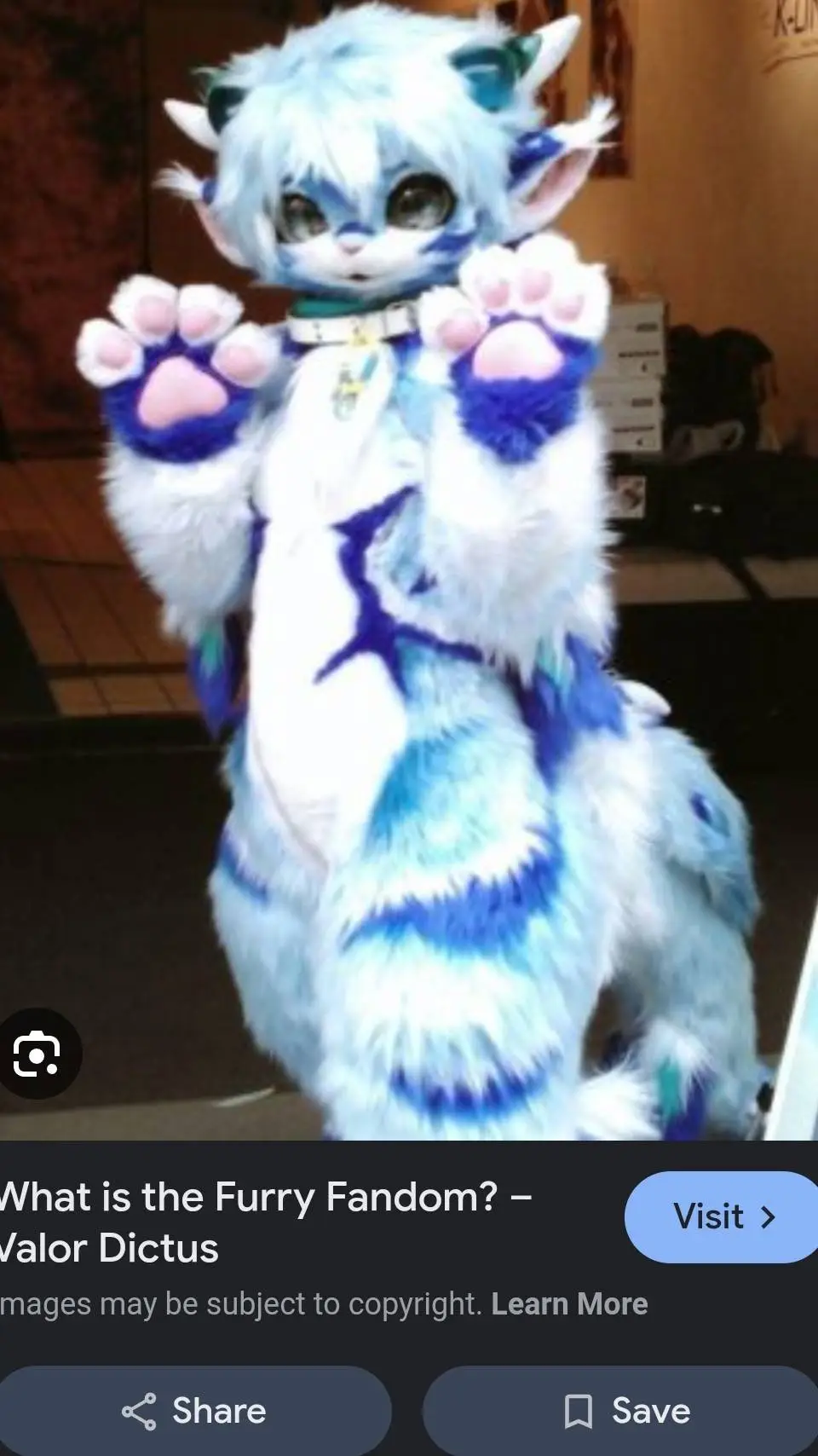 ai character: furr background