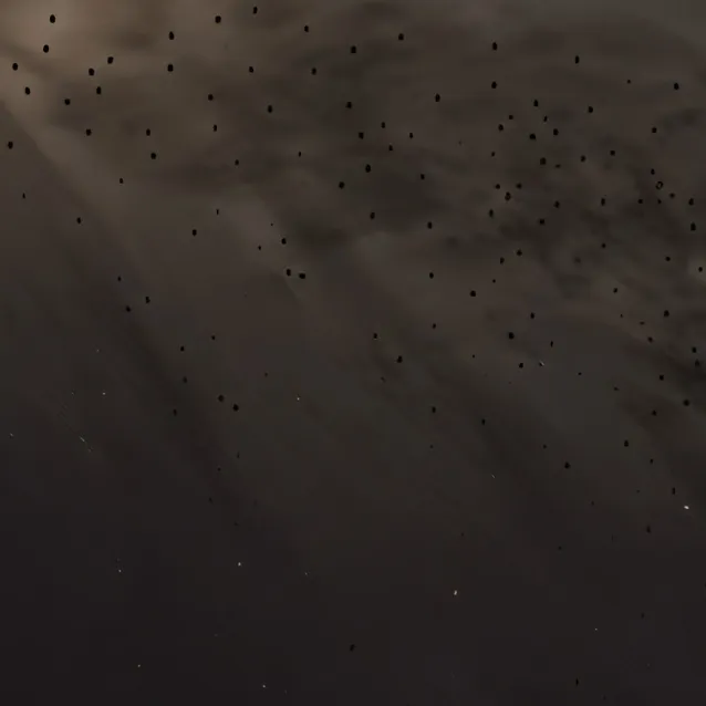 chat with ai character: say goodbye 