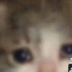 chat with ai character: Railfanning Heaven