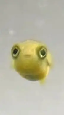 ai character: Mlp background