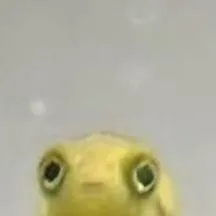 chat with ai character: Mlp