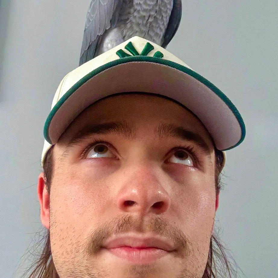 chat with ai character: <Arthur>