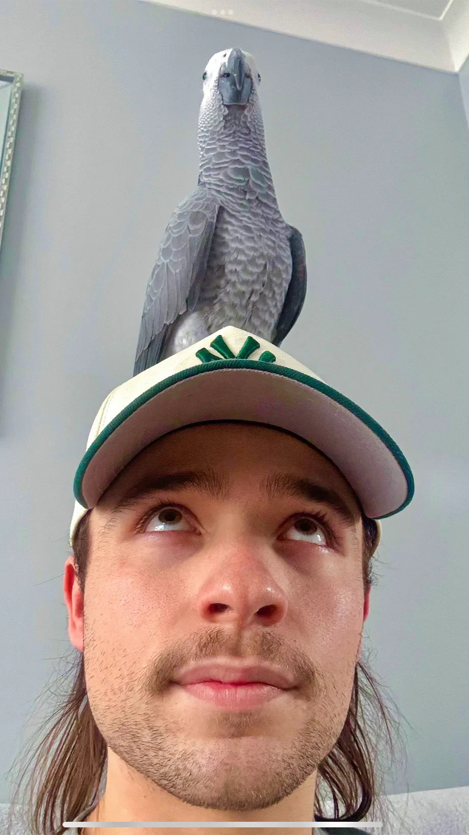 ai character: <Arthur> (again) background