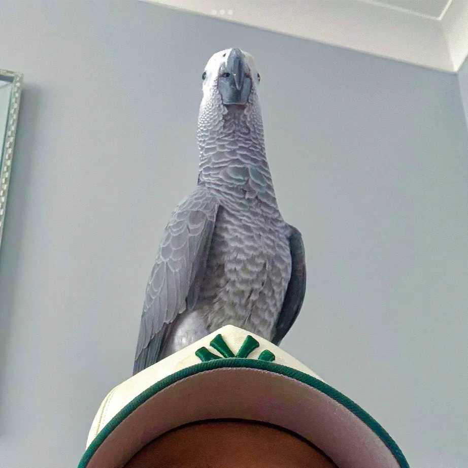 chat with ai character: <Arthur> (again)