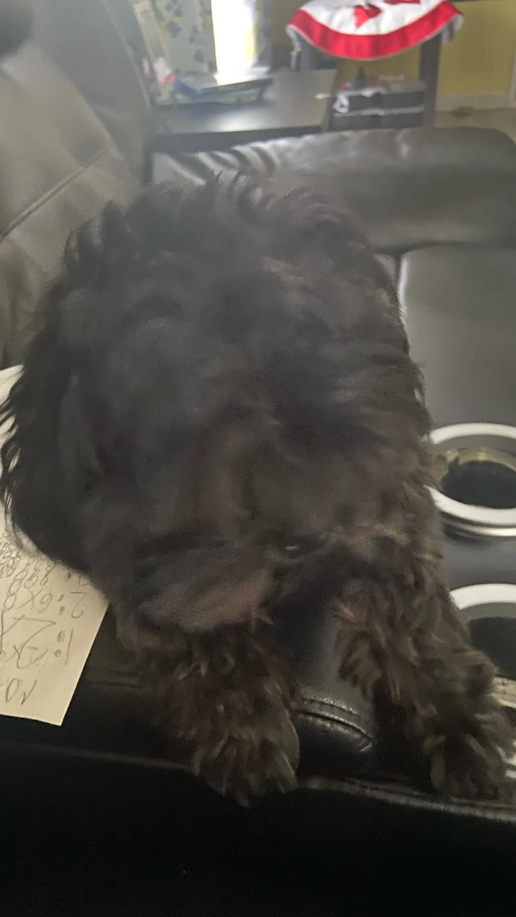 ai character: Dogggg background