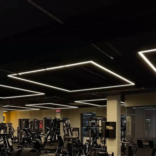 chat with ai character: regular gym