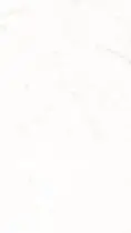 ai character: necesito ideas x1 background