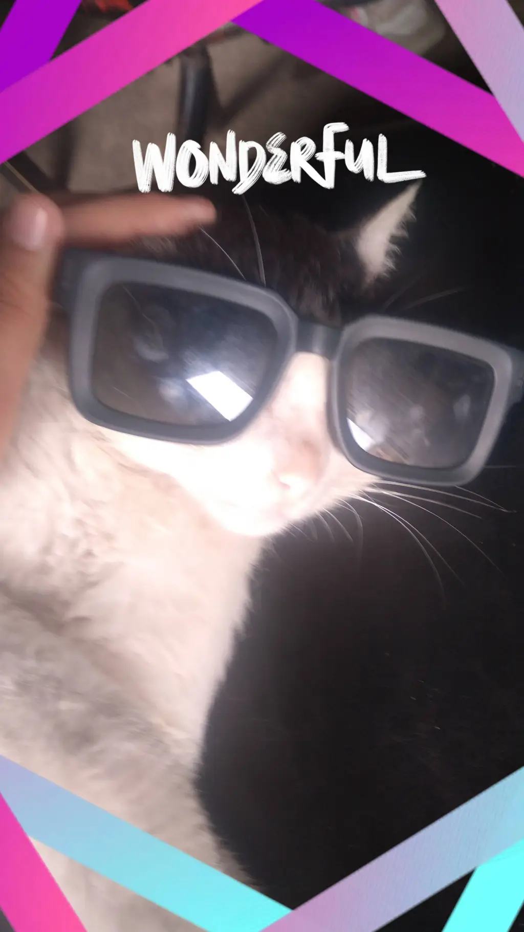 ai character: Gato Fachero background