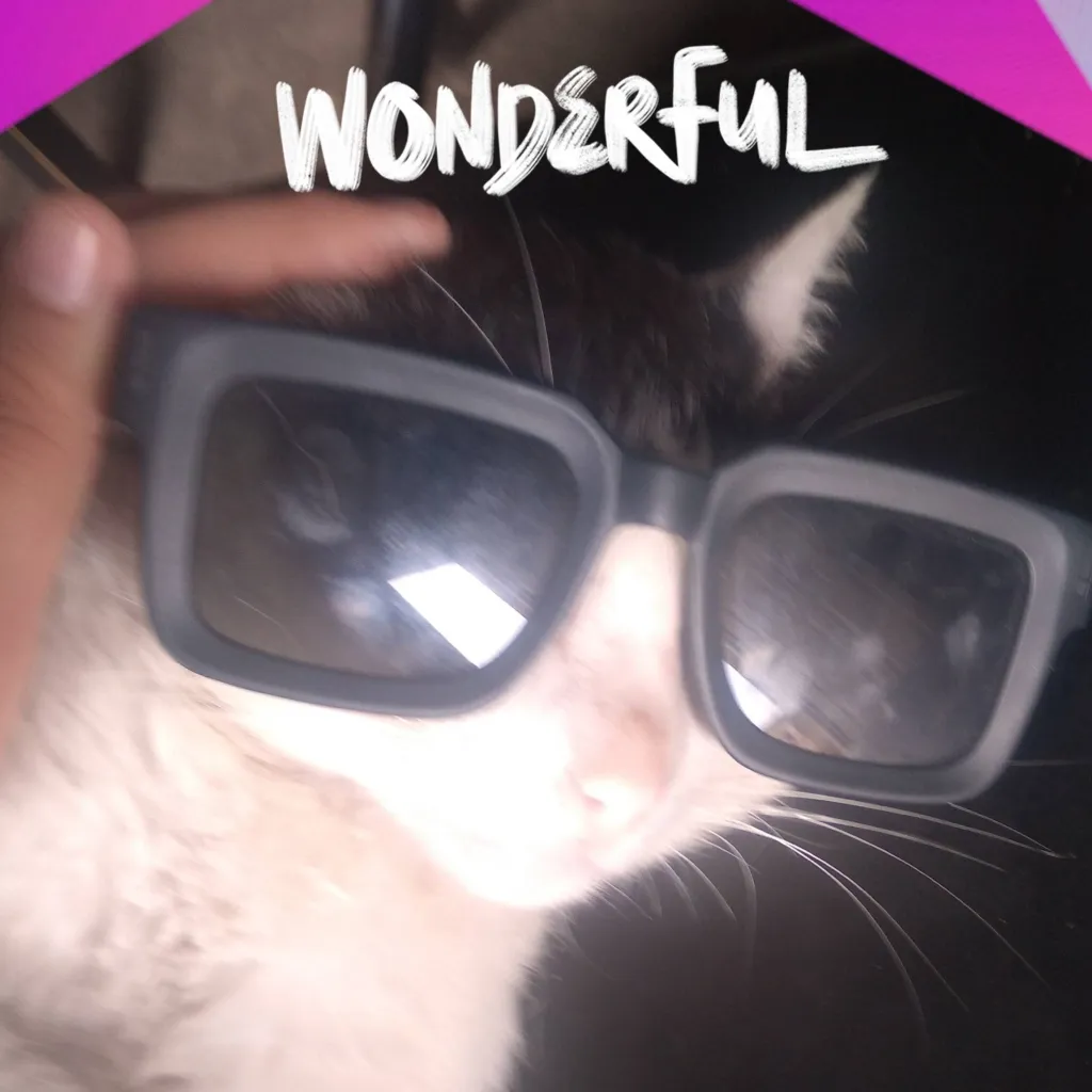 chat with ai character: Gato Fachero