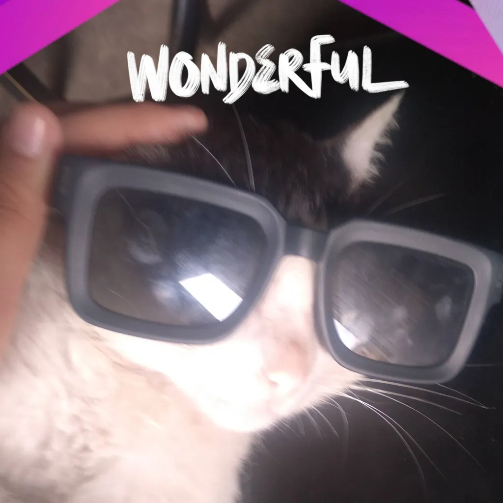 chat with ai character: Gato Fachero