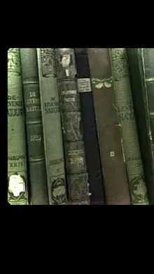 ai character: MhaxYoung Sheldon! background