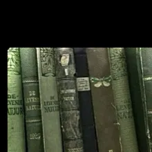 chat with ai character: MhaxYoung Sheldon!