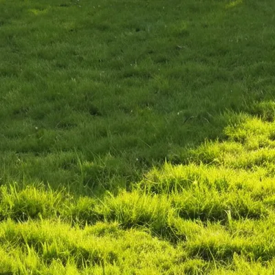 chat with ai character: IDEAS AGAIN!!