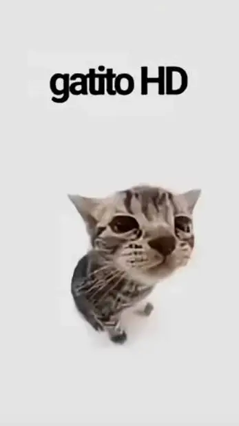 ai character: criatura rara background