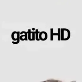 chat with ai character: criatura rara