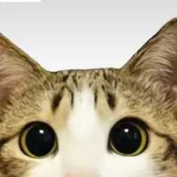 chat with ai character: Yandere shelly