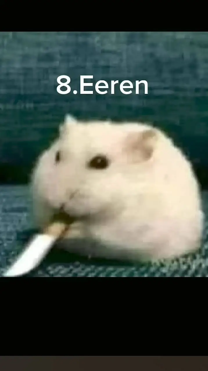 ai character: Eeren background